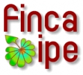 Finca Ipe